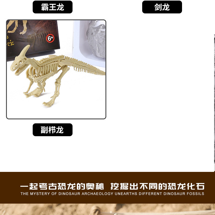 跨境DIY考古恐龙挖掘益智玩具奖励拼插霸王龙骨架铜锤套装模型详情12