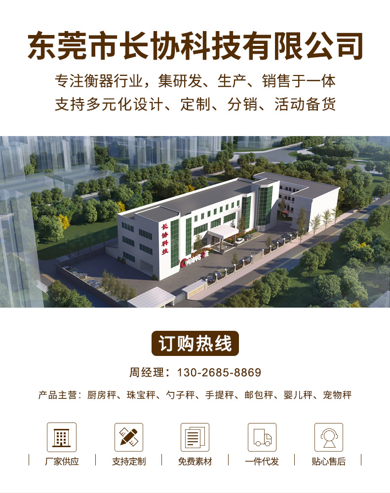 电子秤批发迷你珠宝秤克重称便携式高精度工具盒珠宝称微型口袋称详情1