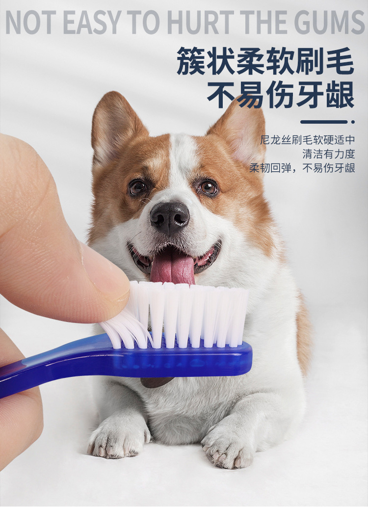 Wholesale pet toothbrushes, dog double-head toothbrushes, cat toothbrushes, dog and cat oral cleaning teeth, pet supplies pic 9