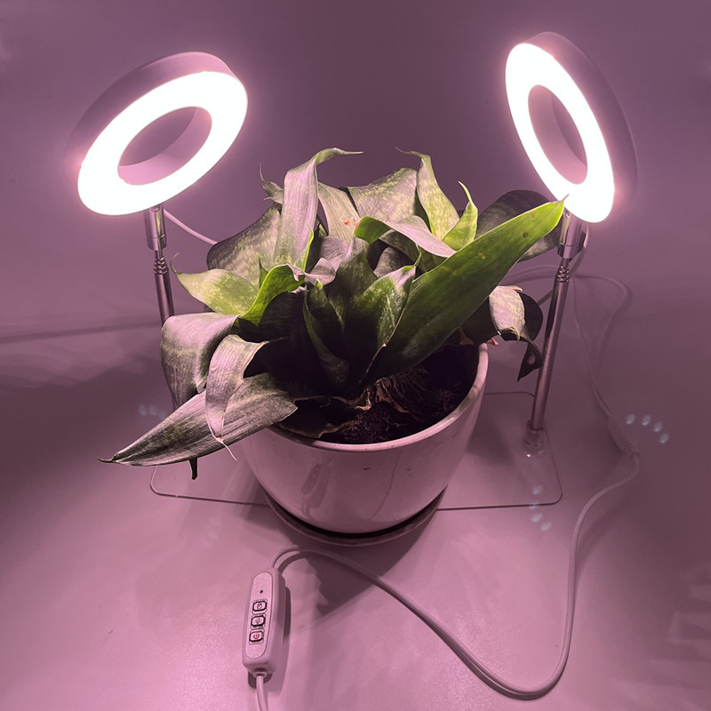 LED angel ring plant growth lamp, sunlight-like plant supplementary light, indoor succulent bonsai plant lamp manufacturer pic 4
