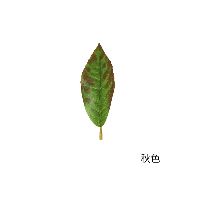 仿真红花油茶叶绿植单片毛尖茶叶绿茶大白茶红茶园林装饰摆设批发详情10