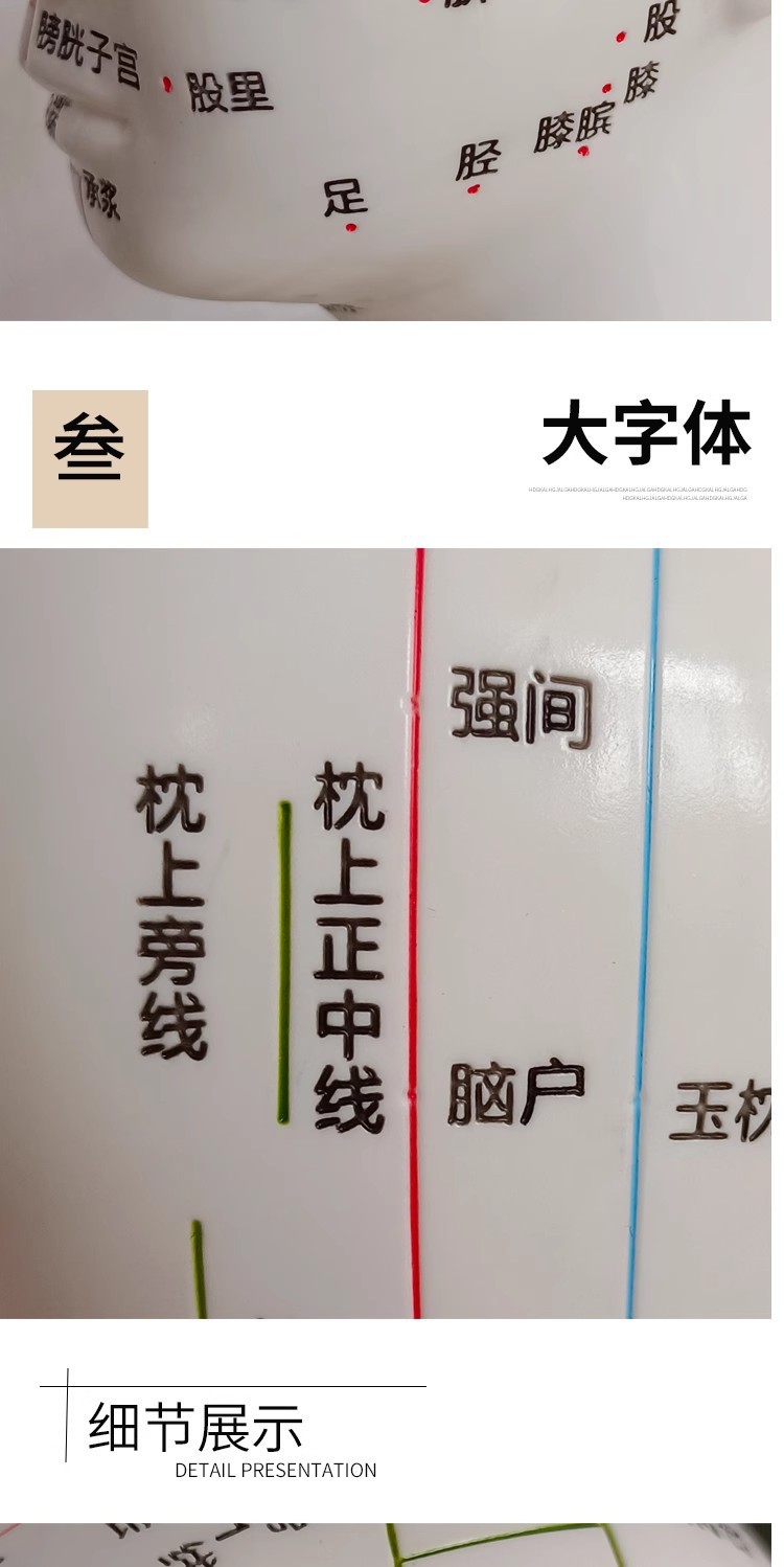 Head medical acupuncture practice model, traditional Chinese medicine acupoint meridian massage human body model, massage head model 21cm pic 11