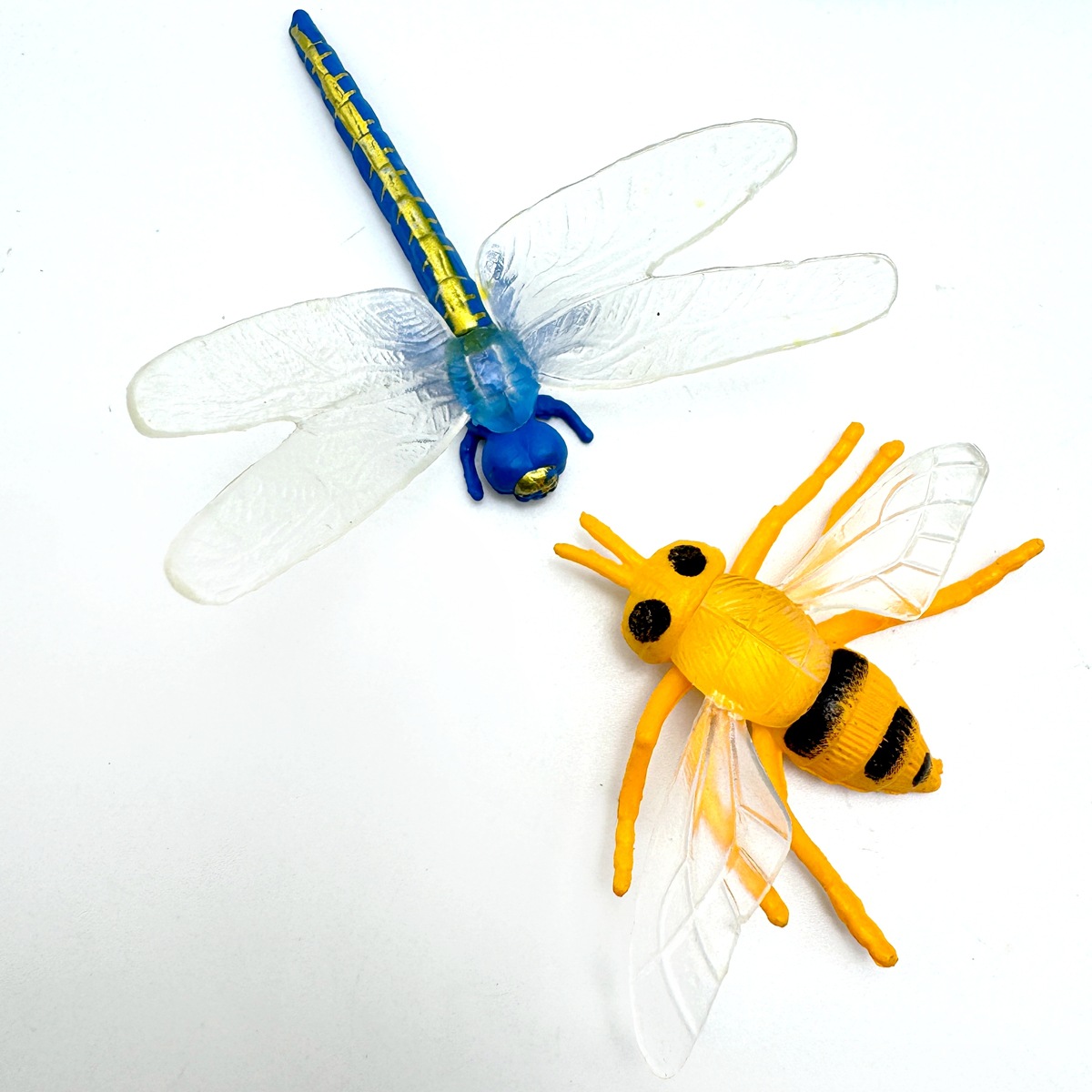 12款仿真小昆虫模型儿童早教动物玩具蜻蜓螳螂蝎子蜈蚣瓢虫跨境热详情10