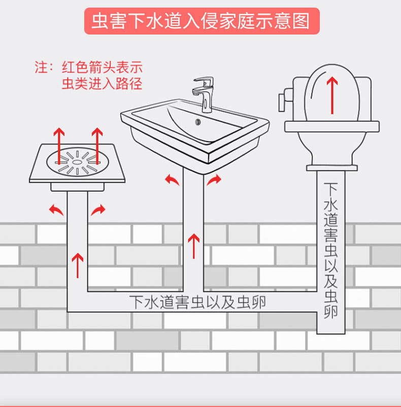 详情_12.jpg