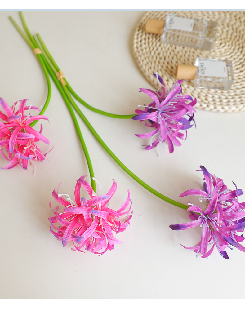 桔茉家居彼岸花摆件仿真曼珠沙华风雨兰摄影道具样板间装饰宠物园艺花盆容器详情19