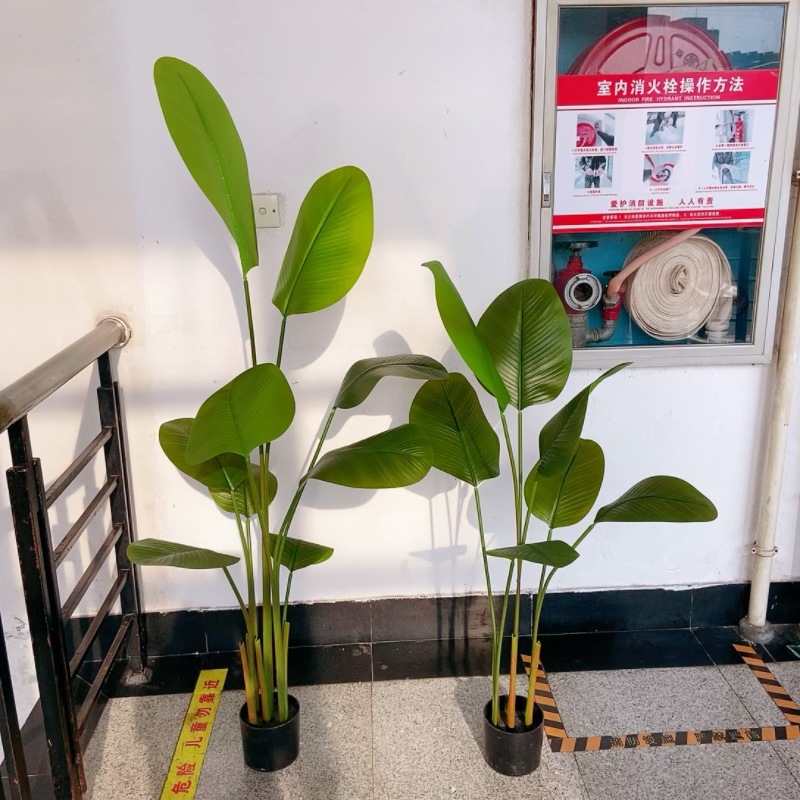 工厂店仿真植物盆栽雪茄旅人蕉美人蕉大叶子高仿植物装饰造景摆件详情12