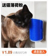 万圣节宠物玩具猫咪新款万圣三角巾拍摄吃饭猫狗通用宠物围巾厂家详情14