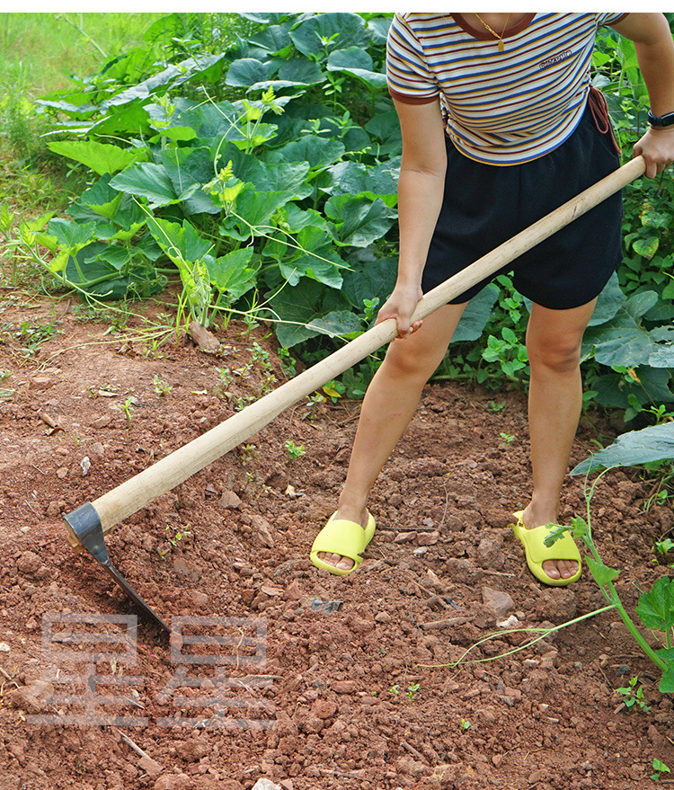 Old-fashioned large hoes, farm tools for growing vegetables, digging soil and clearing land, long wooden handle hoes, household weeding, outdoor all-steel thickened small hoes pic 7