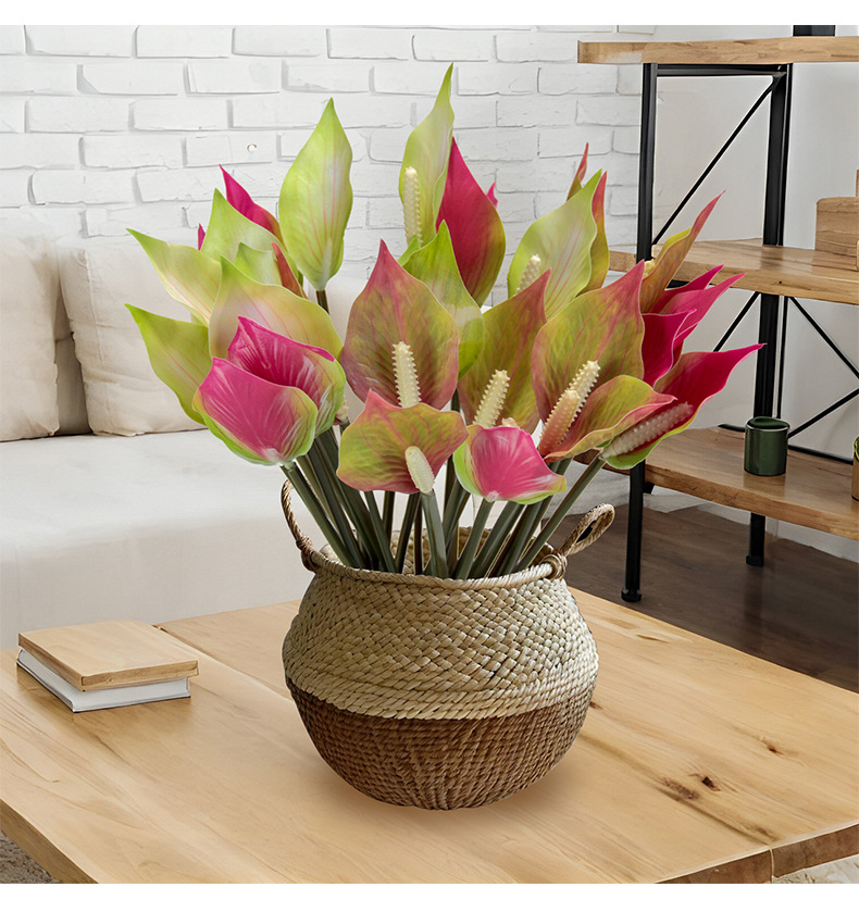 Floral decoration, potted plants, green plants, indoor ornaments, succulents, combination potted plants pic 7