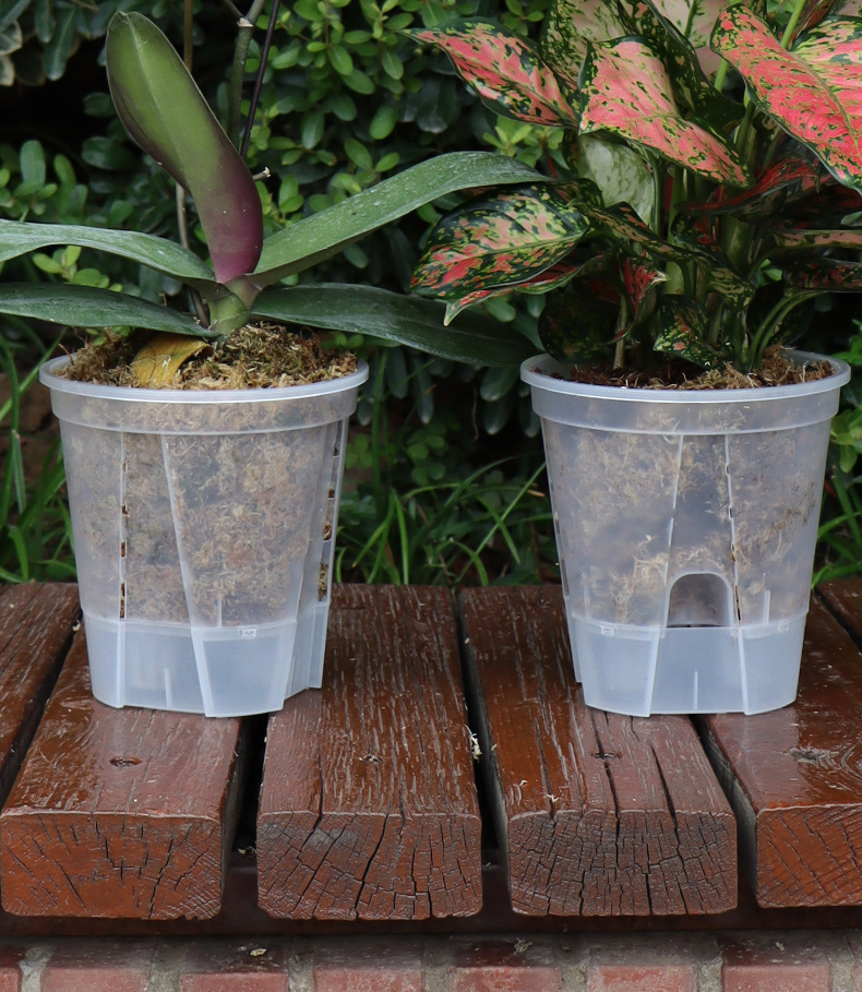 新款储水透明青山盆自吸水懒人盆控根盆朱顶红蝴蝶兰塑料花盆批发详情20