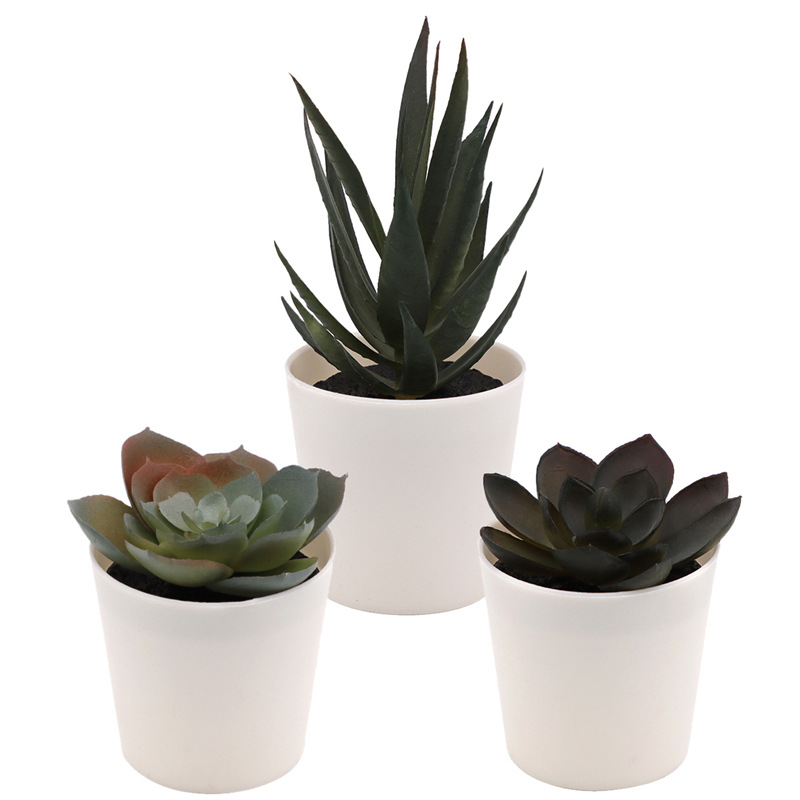 亚马逊室内装饰仿真多肉植物盆栽复古假花盆景家居客厅桌面摆件详情2