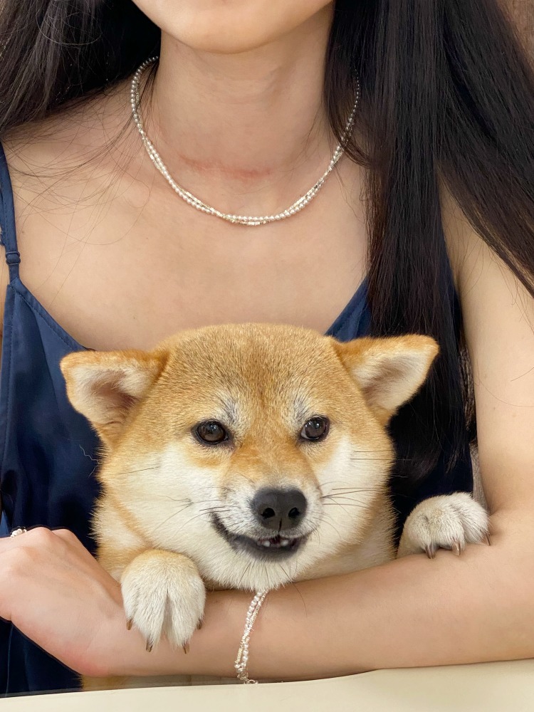 The entire S925 sterling silver Shijia pearl wound necklace features a niche design for women, a neckchain, a collarbone chain, and a light luxury chain pic 10