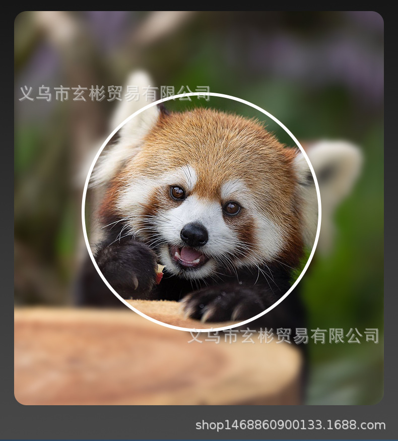 批发多型号望远镜 高清高倍微光夜视100X22 500x25户外双筒望远镜详情9