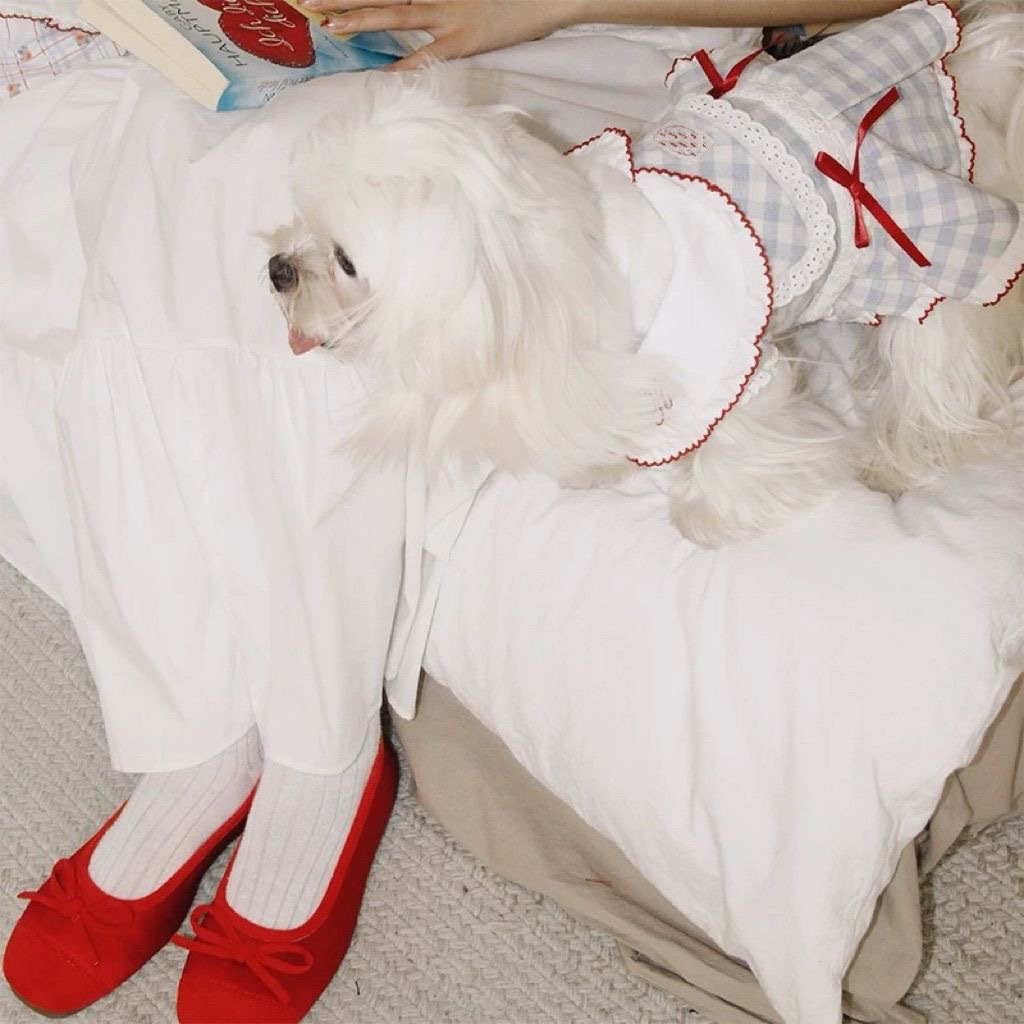 狗狗猫咪衣服复古格纹海军领衬衫小型犬马尔济斯博美比熊泰迪春秋详情6