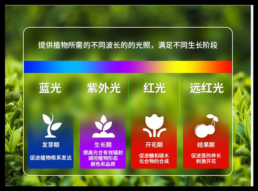 Abbott full-spectrum plant supplementary lighting: Rose, Orchid, turtle-back bamboo, heat-planted plant LED plant growth lamp pic 3