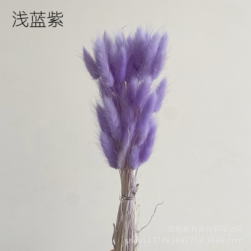 QQ图片20210611113458.jpg