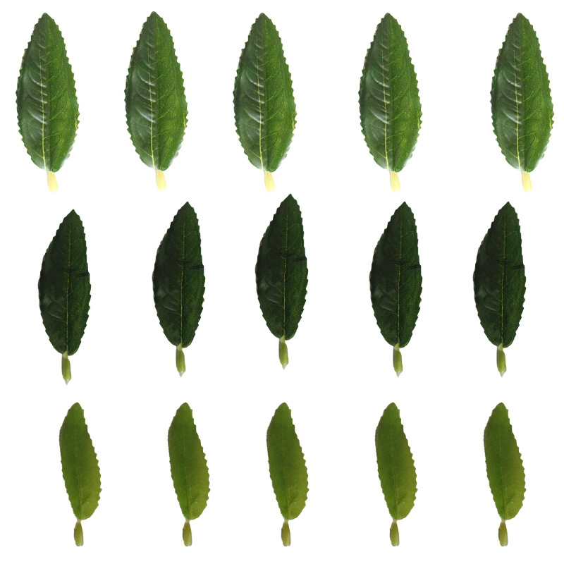仿真茶叶绿植安吉白茶毛尖茶红绿茶单片称重工程DIY装饰摆设批发详情14