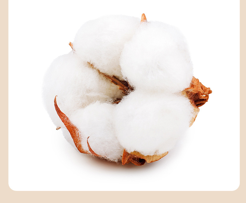 全棉夏被空调被夏凉被纯棉夏季单人学生薄被子被芯儿童夏天可机洗详情6