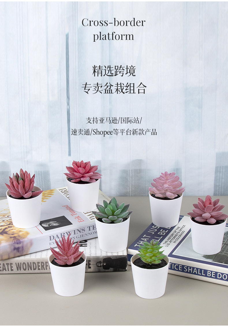 植绒硬料小芦荟迷你盆栽仿真塑料磨砂小盆景桌面摆件礼品仿真多肉详情2