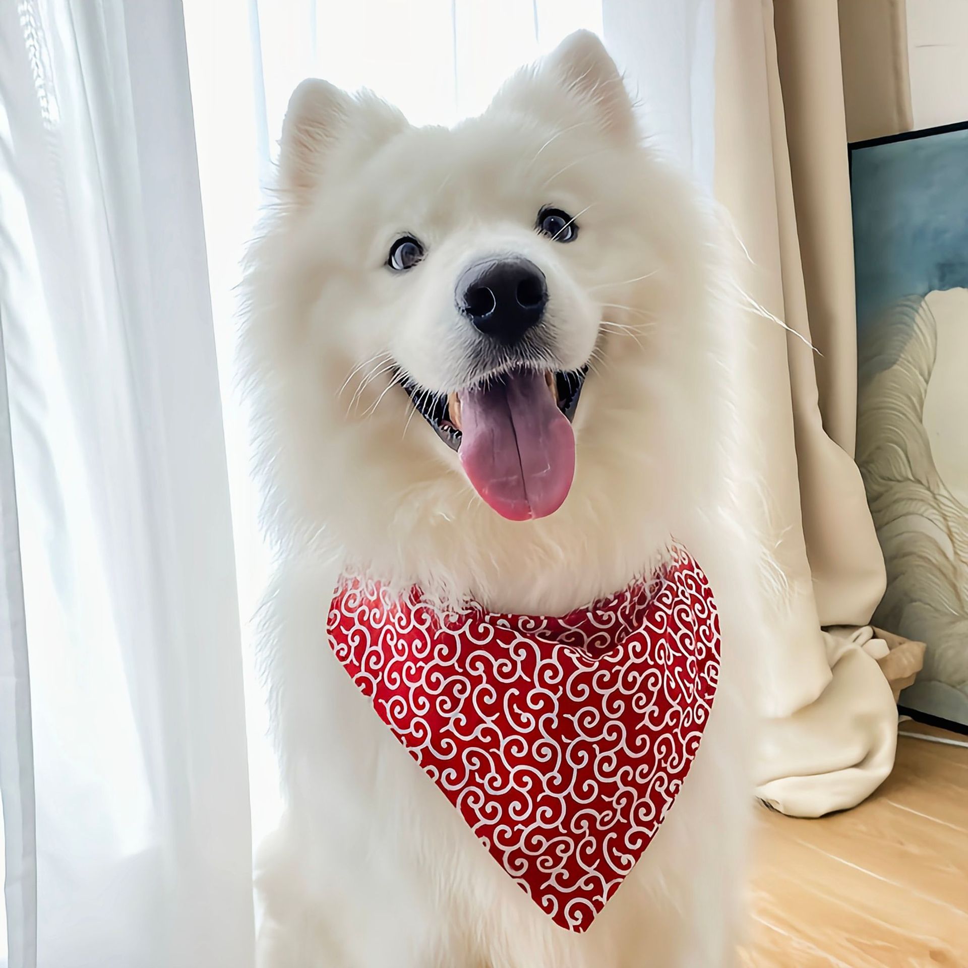 Rongka Pet Cross-border New Japanese-style Tanggrass-patterned wipes, pet cat and dog accessories, triangular scarves, scarves, pet scarf supplies wholesale pic 1