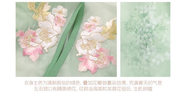 国潮新款原创春雨落花唐制汉服女齐胸襦裙改良古风超仙中国风古装详情8