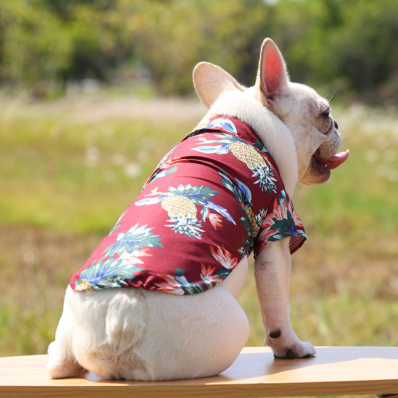 Pequeño y mediano perro playa piña camisa hawaii mascota perro gato golden hair primavera verano fino ropa artículos pic 17