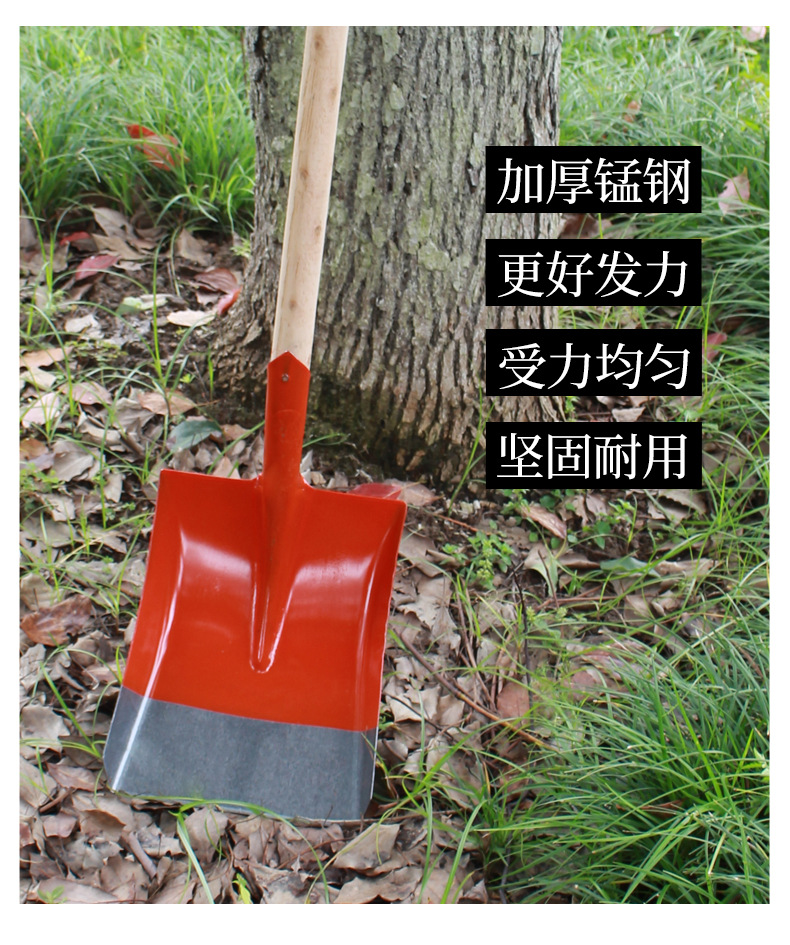 铁锹锰钢全钢加厚木柄钢锹煤锹种花尖方平头锹农用泥锹园林工具详情7