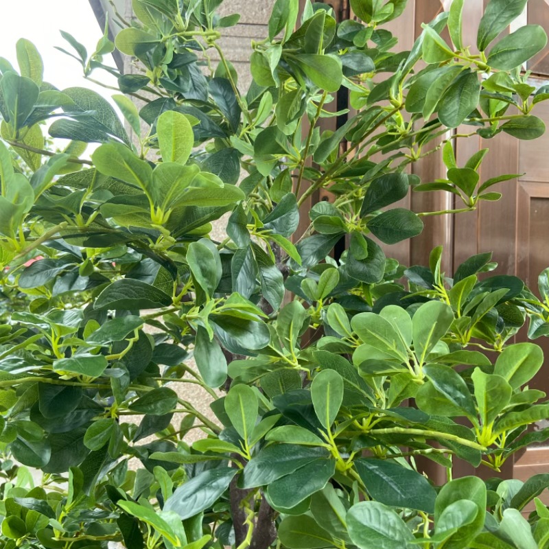 微信图片_20240925114006