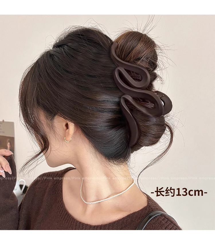 Large-sized hair clip for women, 2025 new high-end style hair clip, back of the head, shark clip headwear pic 22