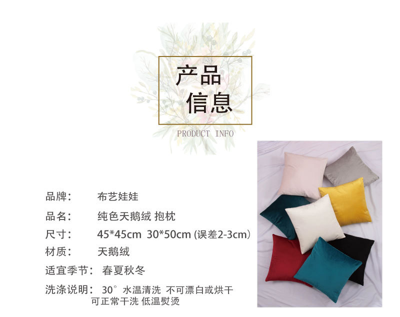 详情页首部.jpg