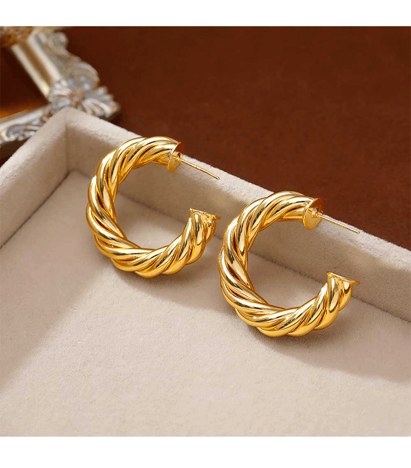 Hyacinth moda europea y americana personalidad temperamento moda orejeras minimalistas pendientes de aro de metal industria pesada alto grado sentido orejeras de oro pic 2