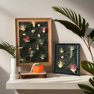 相框中空标本框木质玻璃立体黑色蝴蝶昆虫装裱自装摆台展示画框详情7