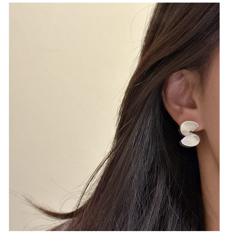 S925 sterling silver Korean version niche design fan-shaped stud earrings, a matte retro earring accessory with a Korean fashionable feel pic 17