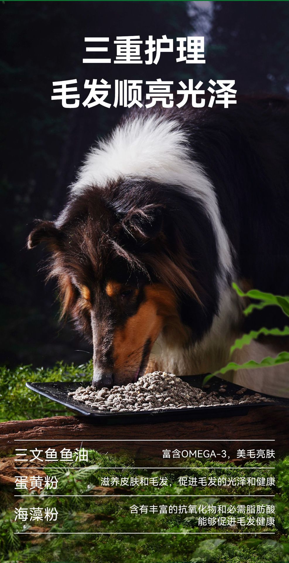 大小型犬无忧试吃狗舍专用6种蛋白全价鲜肉狗粮厂家批发1.5kg10kg详情6