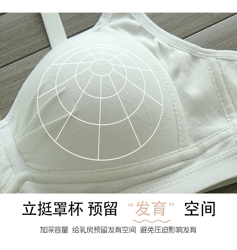 纯棉薄款内衣女大学生初中生高中生女孩小胸聚拢防下垂少女文胸罩详情9
