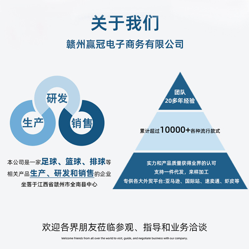 跨境5号成人4号小学生3号幼儿园儿童训练比赛四号PVC机缝足球批发详情4