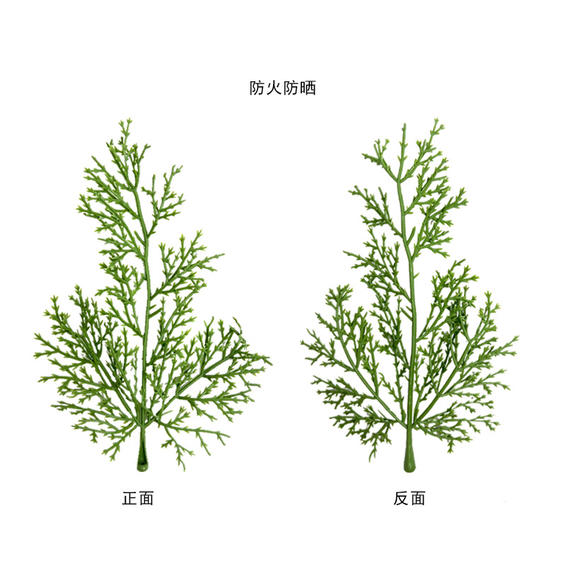 仿真植物柏树叶绿植单片防火柏树叶室内装饰摆件拍摄假柏树叶详情22