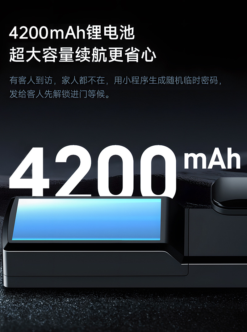 Black smart door lock, 3D facial recognition, large visual screen, digital keyboard, fingerprint recognition pic 34