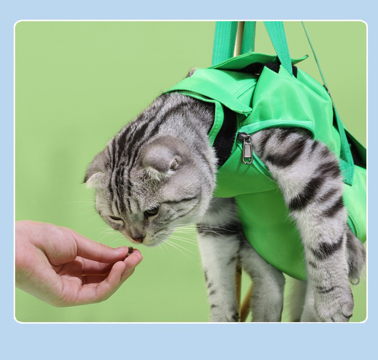 手提猫包防抓咬固定猫咪打针包多用途可折叠便携宠物外出包猫咪包详情7