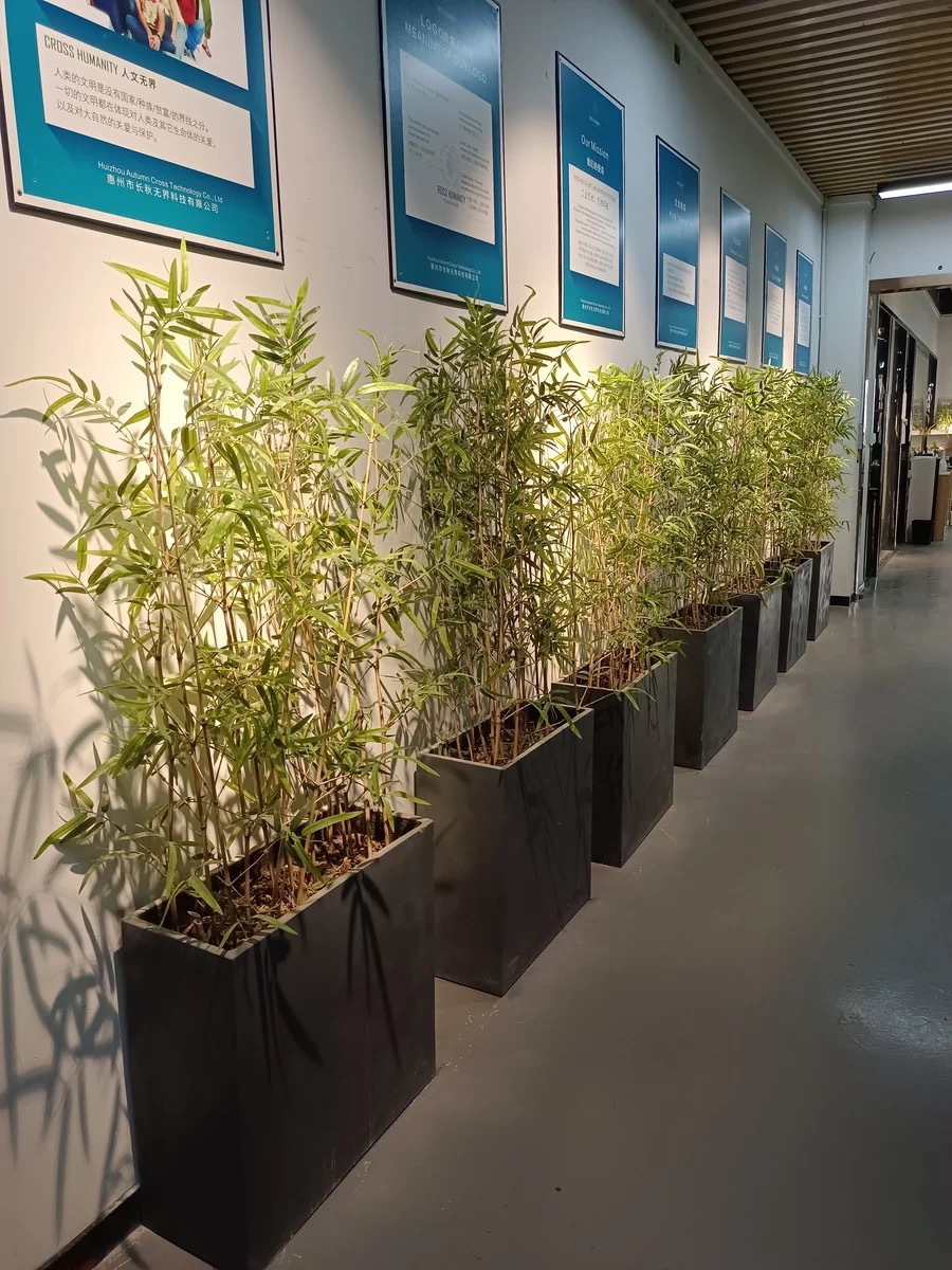 仿真竹子室内装饰隔断屏风假竹子挡墙造景绿植盆栽细水竹办公文化园艺仿真枝叶树详情12