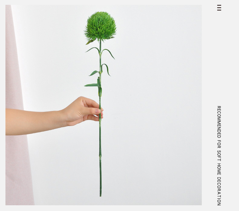 绿毛球仿真花带叶绿刺球插花装饰绿石竹假花绿植工艺品创意礼品金箔花详情13