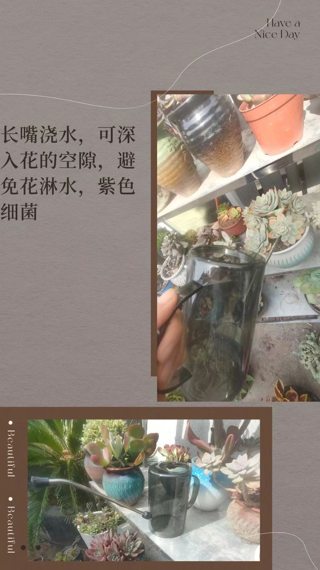不锈钢长嘴浇水壶透明带刻度浇花壶洒水家用园艺盆栽淋水喷壶工具详情2