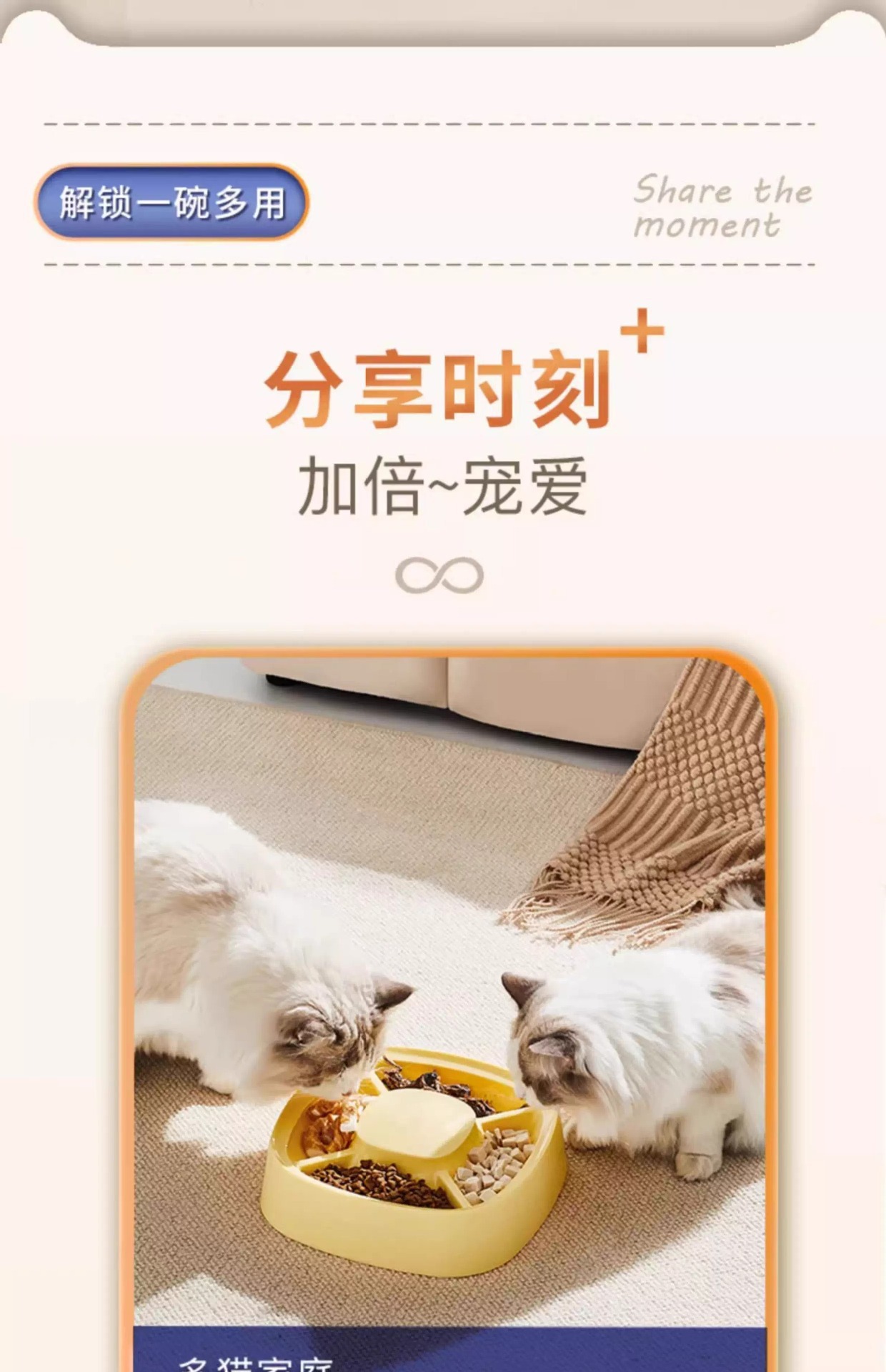 猫碗食盆猫盘猫盆猫咪饭碗粮碗猫粮盆猫饭盆幼猫分格狗碗宠物用品详情2