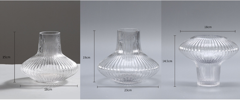 Cross-border TEMU best-selling transparent living room dining table vase, ins home soft furnishing exposed material hydroponic glass flower vase pic 7