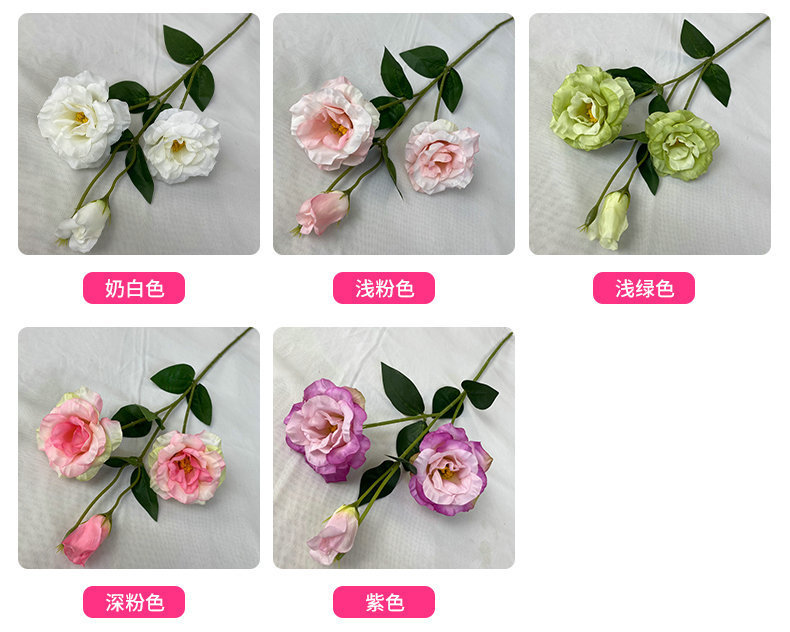 产品颜色.jpg