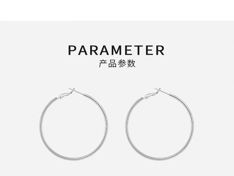 925 sterling silver pin large earrings 2023 New bestseller, Niche summer ear rings, high-end ear studs, earrings for women pic 3