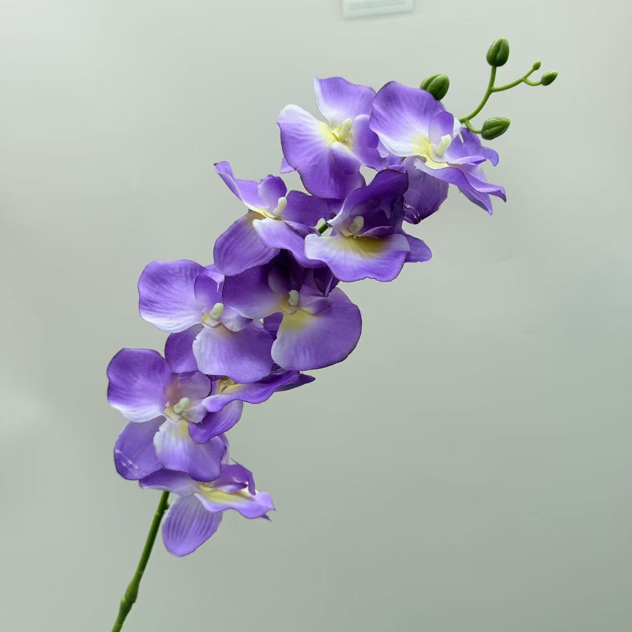 跨境仿真蝴蝶兰9头绢布客厅插花仿真花婚庆路引布景吊顶假花批发详情15