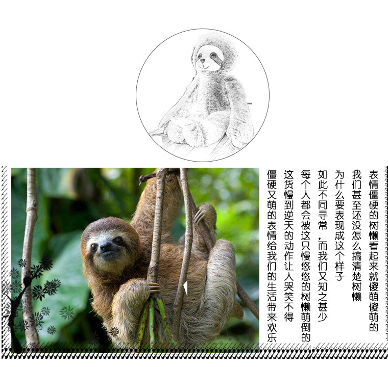 树懒毛绒玩具树懒公仔动物类可爱闪电搞笑超丑树懒小娃娃玩偶详情16