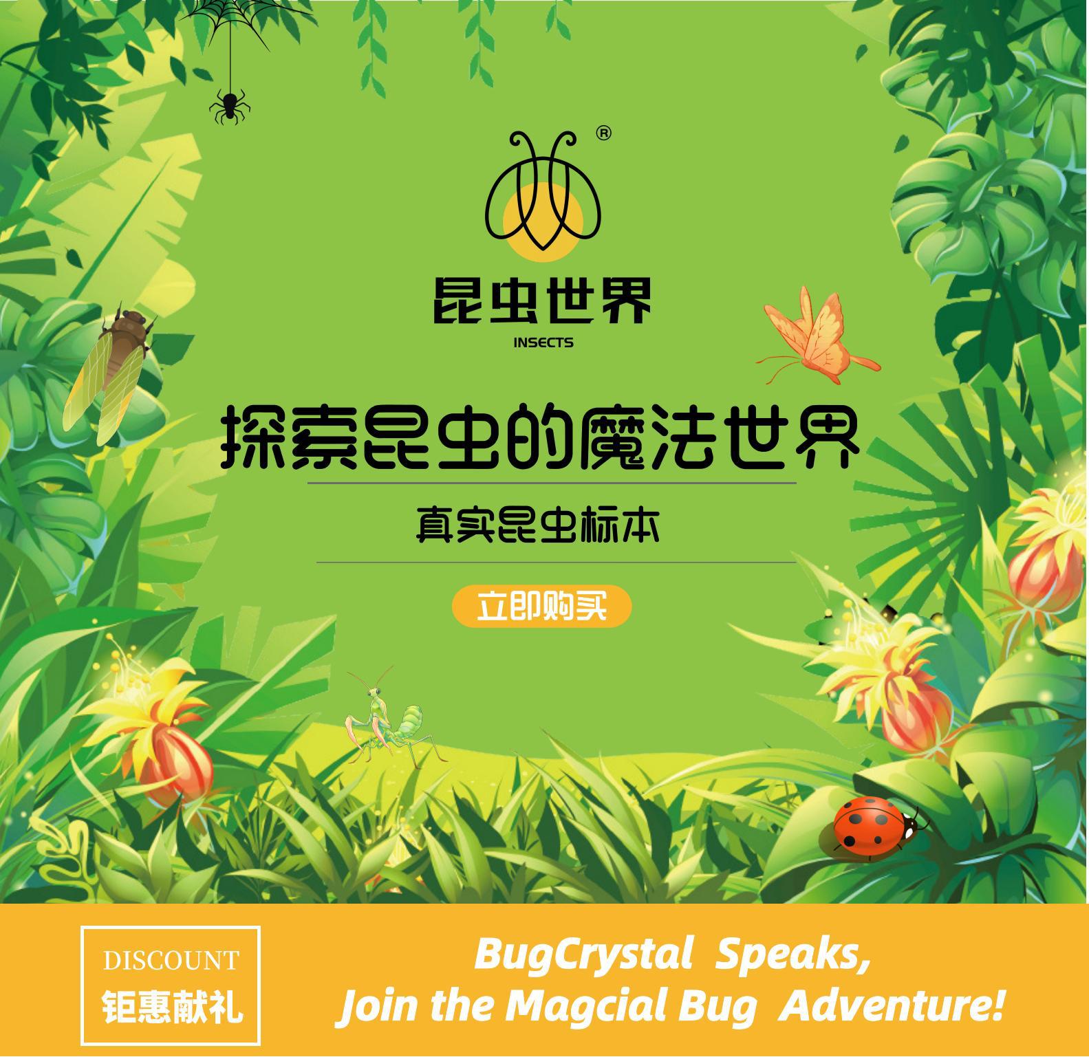 振方工艺跨境批发真实昆虫标本高透树脂琥珀大号亚克力摆件包埋详情1