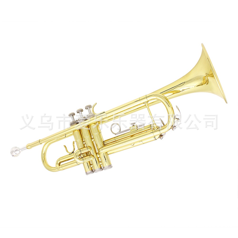 Student and adult performance of Trumpet, a brass trumpet in B-flat pic 13